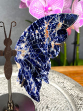 Load image into Gallery viewer, Sodalite Crystal Butterfly Wings On Stand
