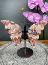 Load image into Gallery viewer, Mexican Crazy Lace Agate Crystal Butterfly Wings On Stand
