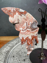 Load image into Gallery viewer, Mexican Crazy Lace Agate Crystal Butterfly Wings On Stand
