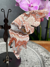 Load image into Gallery viewer, Mexican Crazy Lace Agate Crystal Butterfly Wings On Stand
