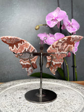 Load image into Gallery viewer, Mexican Crazy Lace Agate Crystal Butterfly Wings On Stand
