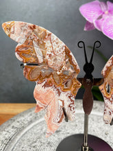 Load image into Gallery viewer, Beautiful Mexican Crazy Lace Agate Crystal Butterfly Wings On Stand
