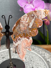 Load image into Gallery viewer, Beautiful Mexican Crazy Lace Agate Crystal Butterfly Wings On Stand
