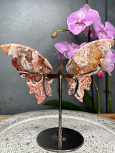 Load image into Gallery viewer, Beautiful Mexican Crazy Lace Agate Crystal Butterfly Wings On Stand
