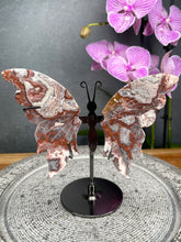 Load image into Gallery viewer, Gorgeous Mexican Crazy Lace Agate Crystal Butterfly Wings On Stand
