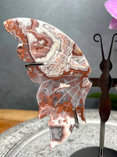 Load image into Gallery viewer, Gorgeous Mexican Crazy Lace Agate Crystal Butterfly Wings On Stand
