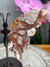 Load image into Gallery viewer, Gorgeous Mexican Crazy Lace Agate Crystal Butterfly Wings On Stand
