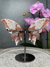 Load image into Gallery viewer, Gorgeous Mexican Crazy Lace Agate Crystal Butterfly Wings On Stand

