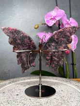 Load image into Gallery viewer, Rhodonite Crystal Butterfly Wings On Stand
