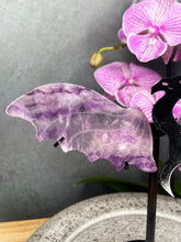 Load image into Gallery viewer, Purple Fluorite Crystal Dragon Wings On Black Stand
