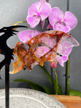 Load image into Gallery viewer, Golden Healer Fire Quartz Dragon Wings On Black Stand
