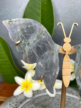 Load image into Gallery viewer, High Quality Labradorite Crystal Butterfly Wings Purple Flash
