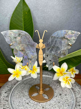 Load image into Gallery viewer, Breathtaking Labradorite Crystal Butterfly Wings Violet Flash
