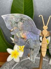 Load image into Gallery viewer, Breathtaking Labradorite Crystal Butterfly Wings Violet Flash

