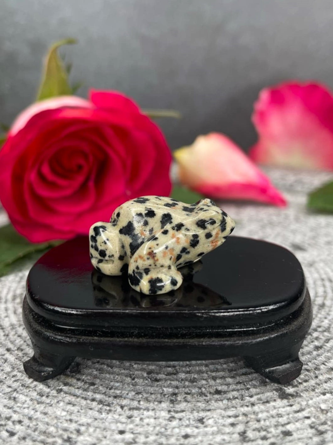 Dalmatian Jasper Crystal Frog Carving