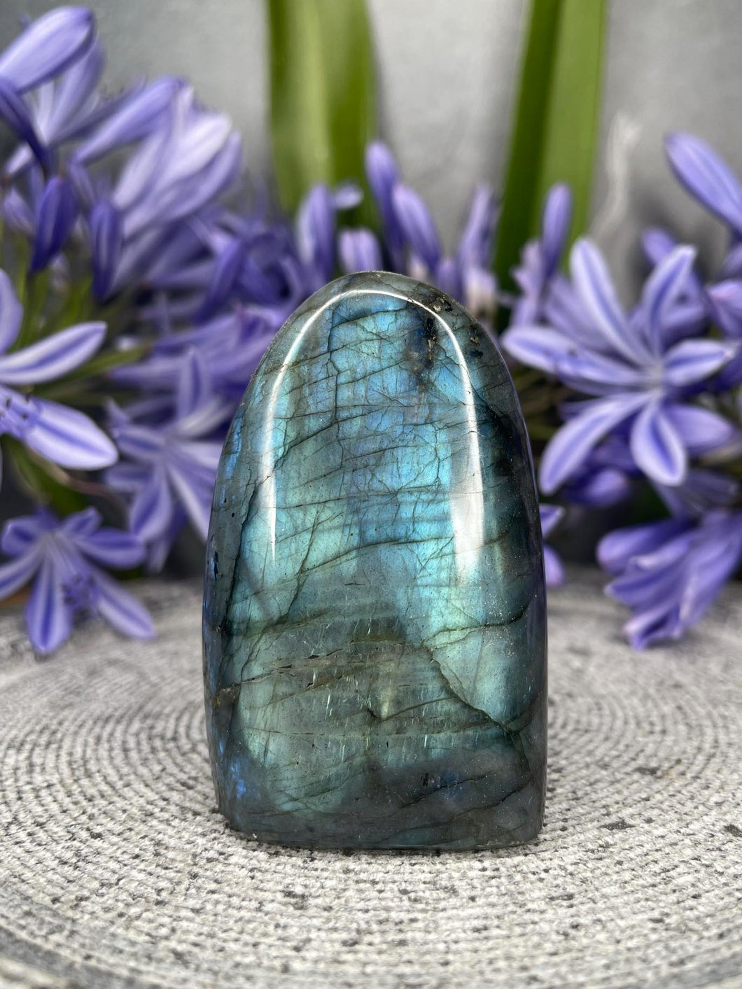 Transformation Labradorite Crystal Freeform With Blue Flash