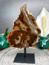 Load image into Gallery viewer, Incredible Agate Slab Slice On Fixed Black Stand
