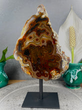 Load image into Gallery viewer, Incredible Agate Slab Slice On Fixed Black Stand
