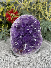 Load image into Gallery viewer, Serene Amethyst Crystal Cluster Geode
