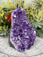 Load image into Gallery viewer, Premium Amethyst Crystal Cluster Geode
