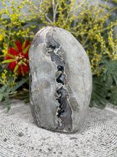 Load image into Gallery viewer, Amethyst Polished Agate Crystal Cluster Geode
