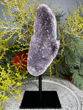 Load image into Gallery viewer, Tranquil Amethyst Crystal Cluster On Removable Display Stand
