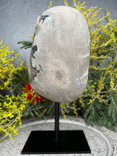 Load image into Gallery viewer, Beautiful Amethyst Crystal Cluster On Removable Display Stand
