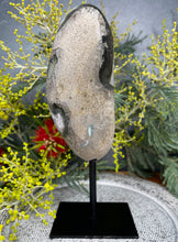 Load image into Gallery viewer, Tranquil Amethyst Crystal Cluster On Removable Display Stand

