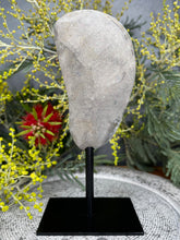 Load image into Gallery viewer, Gorgeous Amethyst Crystal Cluster On Removable Display Stand
