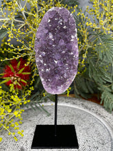 Load image into Gallery viewer, Breathtaking Amethyst Crystal Cluster On Removable Display Stand
