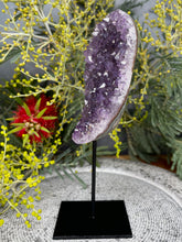 Load image into Gallery viewer, Breathtaking Amethyst Crystal Cluster On Removable Display Stand

