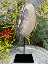 Load image into Gallery viewer, Breathtaking Amethyst Crystal Cluster On Removable Display Stand
