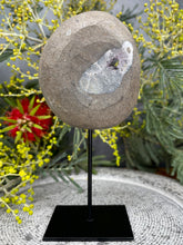 Load image into Gallery viewer, Intuition Amethyst Crystal Cluster On Removable Display Stand
