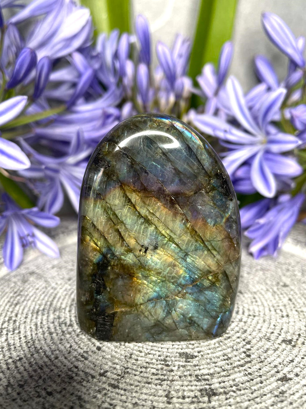 Beautiful Labradorite Crystal Freeform With Rainbow Flash