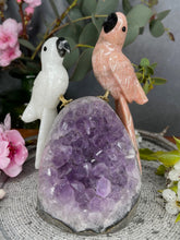 Load image into Gallery viewer, White Jade &amp; Pink Jasper Crystal Birds on Amethyst Cluster Geode
