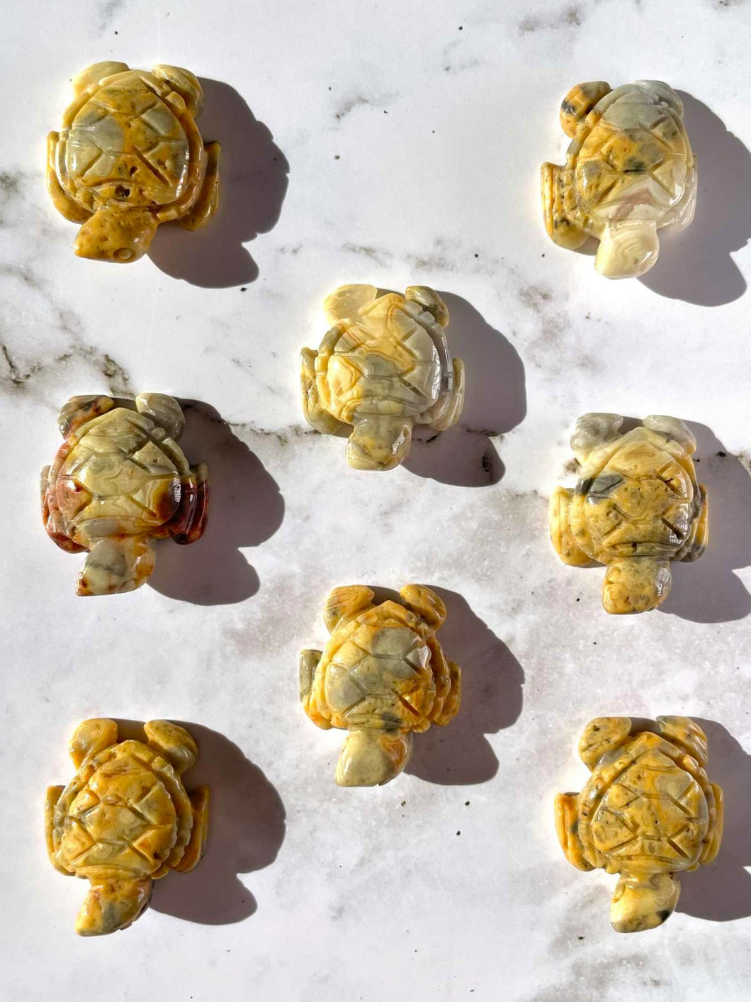 Mexican Crazy Lace Agate Turtle Crystal Carving 1pc Intuitively Chosen