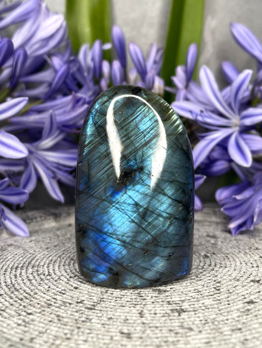 Intuition Labradorite Crystal Freeform With Blue Flash