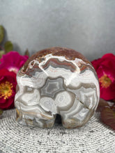 Load image into Gallery viewer, Mexican Crazy Lace Agate Amethyst Crystal Skull Carving
