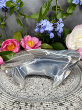 Load image into Gallery viewer, Stunning Banding Orca Agate Crystal Dolphin Carving
