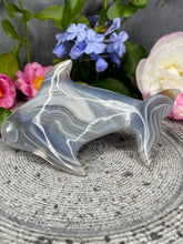 Load image into Gallery viewer, Stunning Banding Orca Agate Crystal Dolphin Carving
