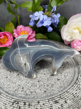 Load image into Gallery viewer, Mesmerizing Banding Orca Agate Crystal Dolphin Carving
