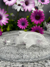 Load image into Gallery viewer, Clear Quartz Dolphin Crystal Carving
