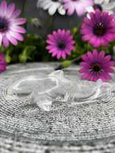 Load image into Gallery viewer, Cute Clear Quartz Dolphin Crystal Carving
