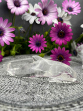 Load image into Gallery viewer, Stunning Clear Quartz Dolphin Crystal Carving
