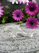 Load image into Gallery viewer, Baby Clear Quartz Dolphin Crystal Carving
