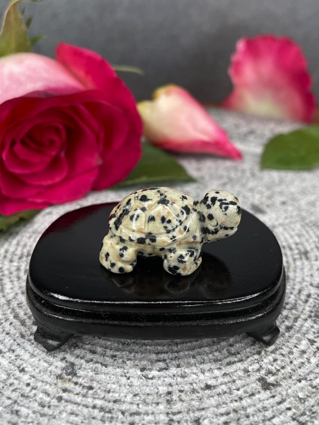 Dalmatian Jasper Tortoise Crystal Carving