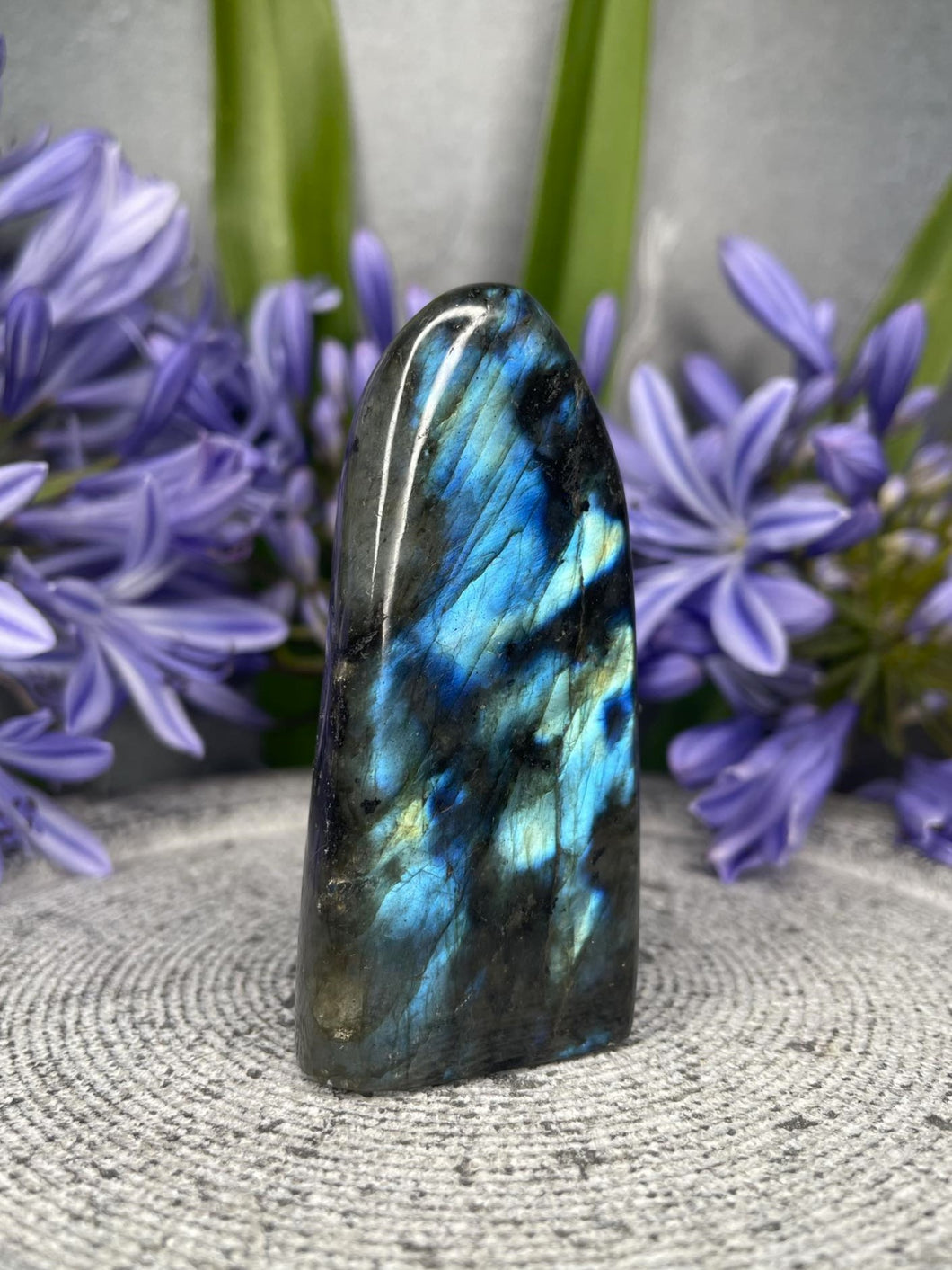 Beautiful Labradorite Crystal Freeform With Blue Flash