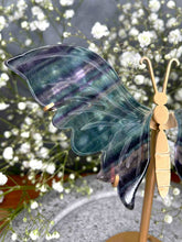 Load image into Gallery viewer, Rainbow Fluorite Butterfly Wings On Gold Stand
