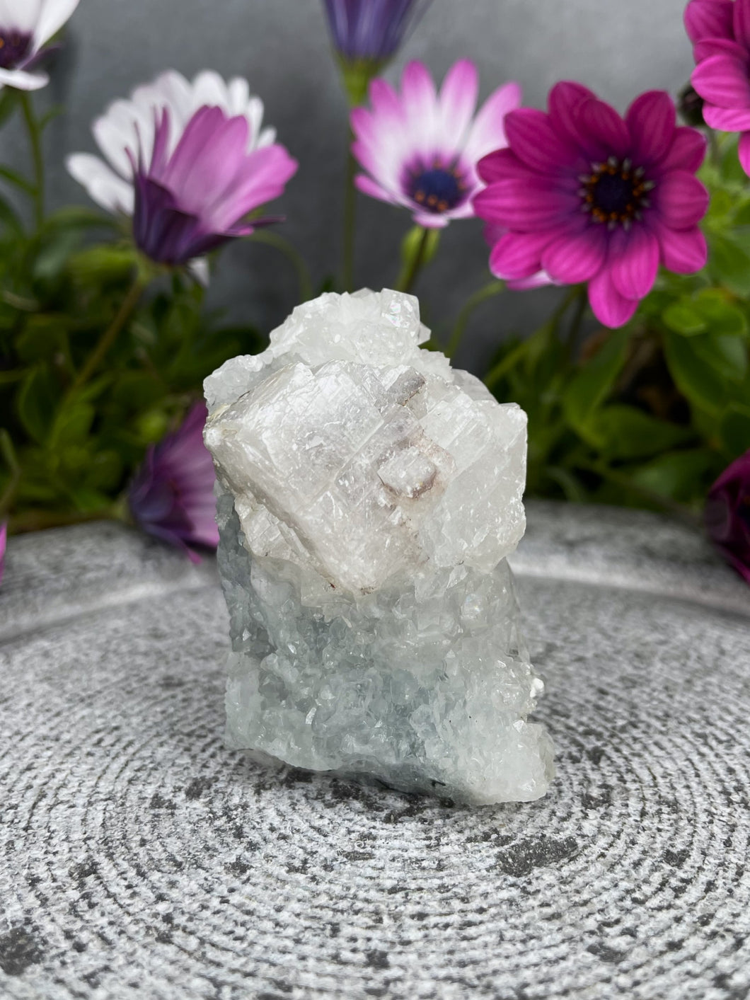 Mini Apophyllite Crystal Cluster