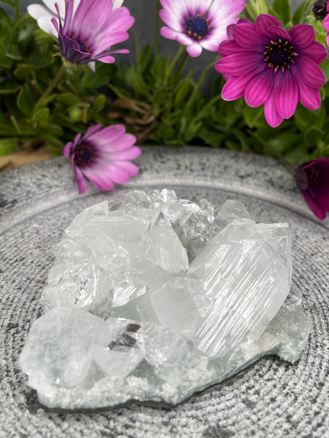 Wisdom Apophyllite Crystal Cluster